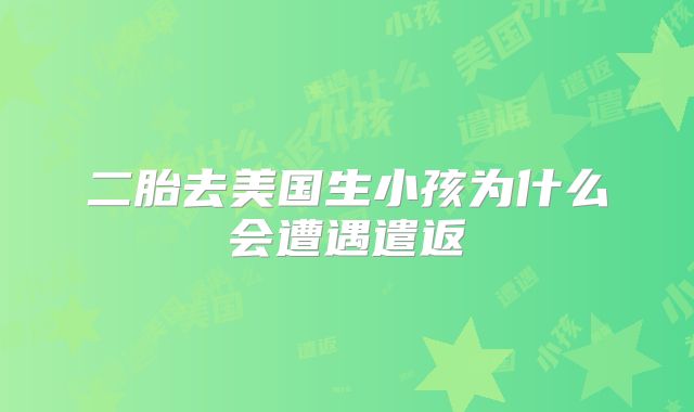 二胎去美国生小孩为什么会遭遇遣返