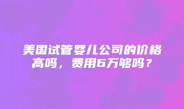 美国试管婴儿公司的价格高吗,费用6万够吗?