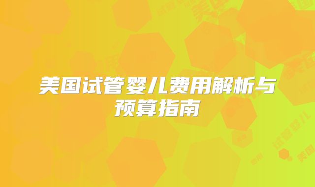 美国试管婴儿费用解析与预算指南