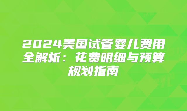 2024美国试管婴儿费用全解析：花费明细与预算规划指南