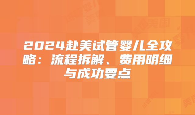 2024赴美试管婴儿全攻略：流程拆解、费用明细与成功要点