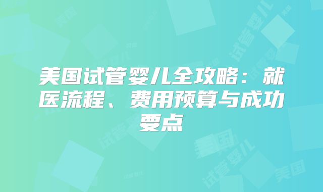 美国试管婴儿全攻略：就医流程、费用预算与成功要点