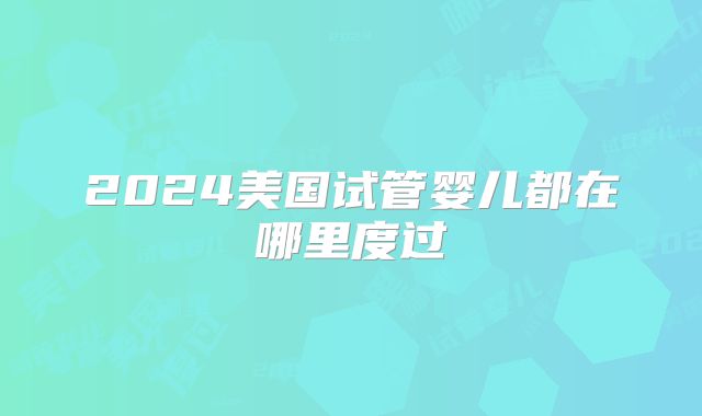 2024美国试管婴儿都在哪里度过