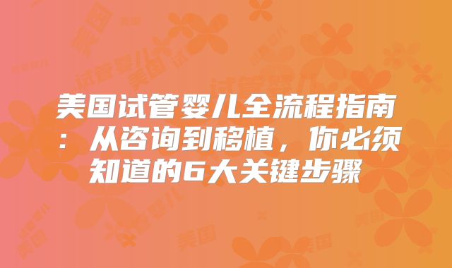 美国试管婴儿全流程指南:从咨询到移植,你必须知道的6大关键步骤
