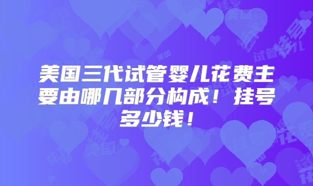美国三代试管婴儿花费主要由哪几部分构成！挂号多少钱！