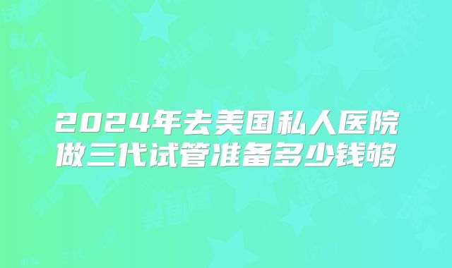 2024年去美国私人医院做三代试管准备多少钱够