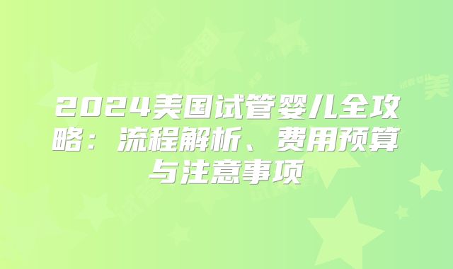 2024美国试管婴儿全攻略：流程解析、费用预算与注意事项