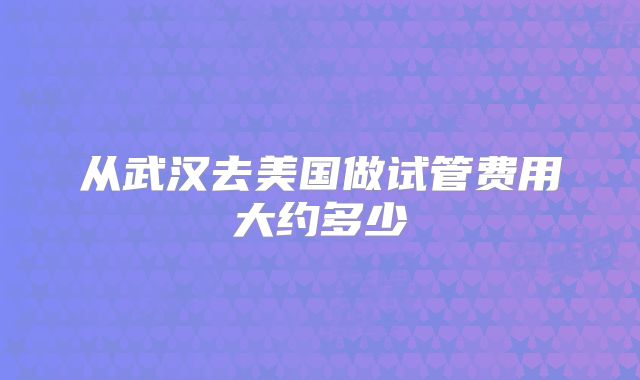 从武汉去美国做试管费用大约多少