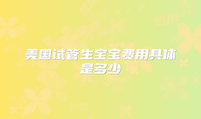 美国试管生宝宝费用具体是多少