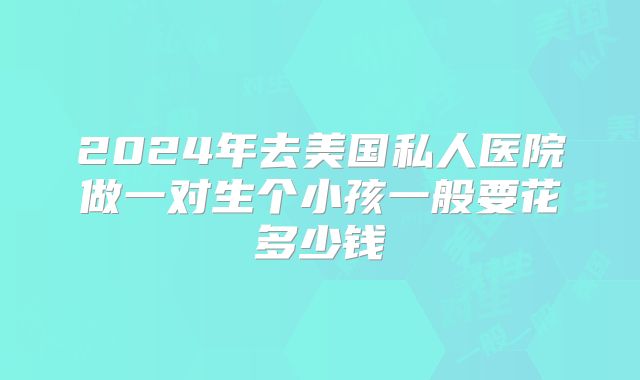 2024年去美国私人医院做一对生个小孩一般要花多少钱