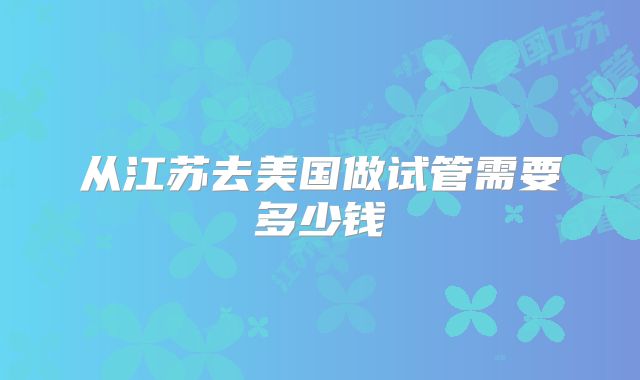 从江苏去美国做试管需要多少钱