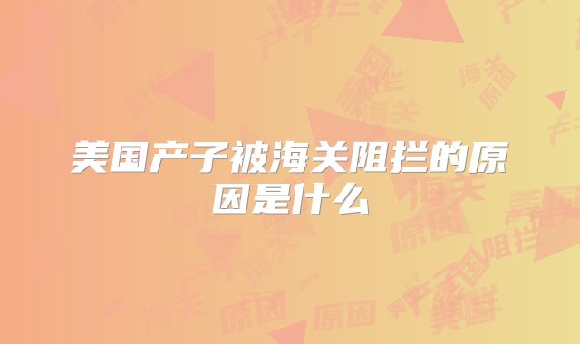 美国产子被海关阻拦的原因是什么