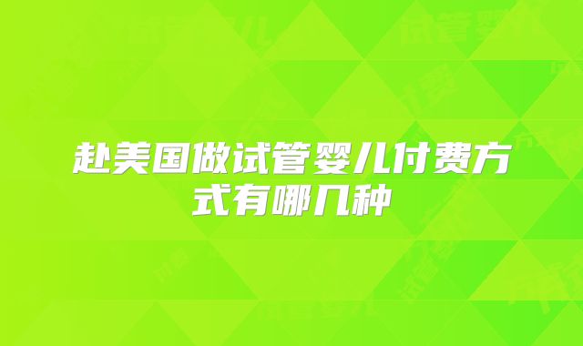 赴美国做试管婴儿付费方式有哪几种