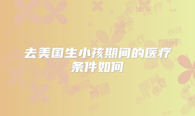 去美国生小孩期间的医疗条件如何