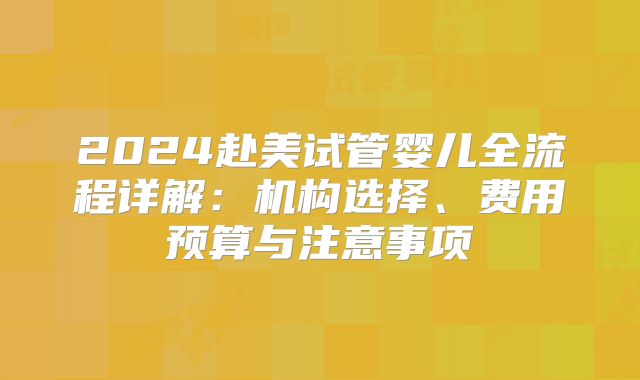 2024赴美试管婴儿全流程详解:机构选择、费用预算与注意事项