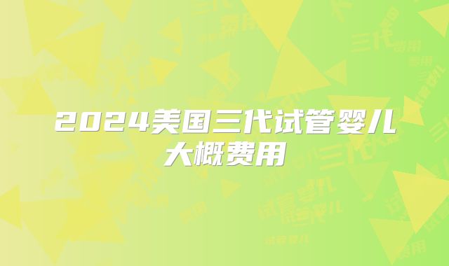 2024美国三代试管婴儿大概费用