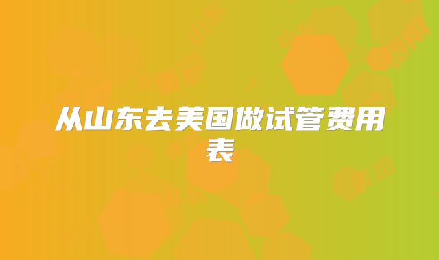 从山东去美国做试管费用表