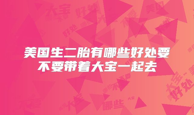 美国生二胎有哪些好处要不要带着大宝一起去