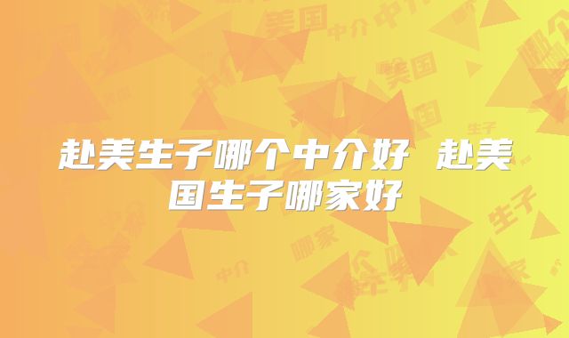 赴美生子哪个中介好 赴美国生子哪家好