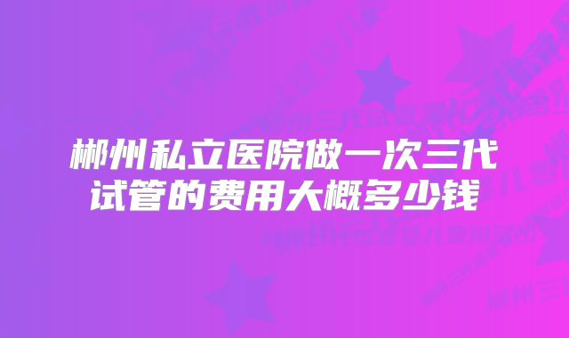 郴州私立医院做一次三代试管的费用大概多少钱