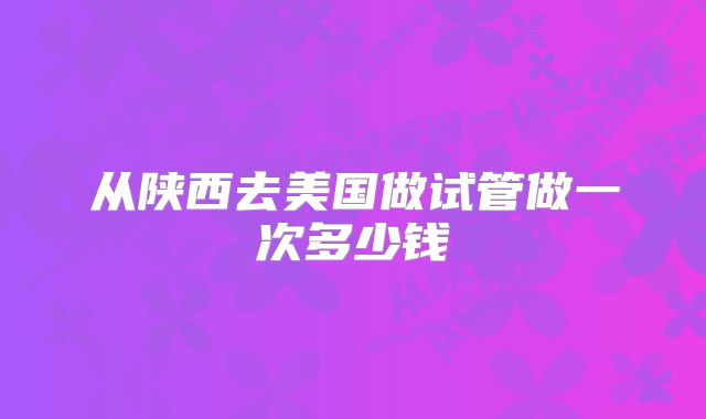 从陕西去美国做试管做一次多少钱