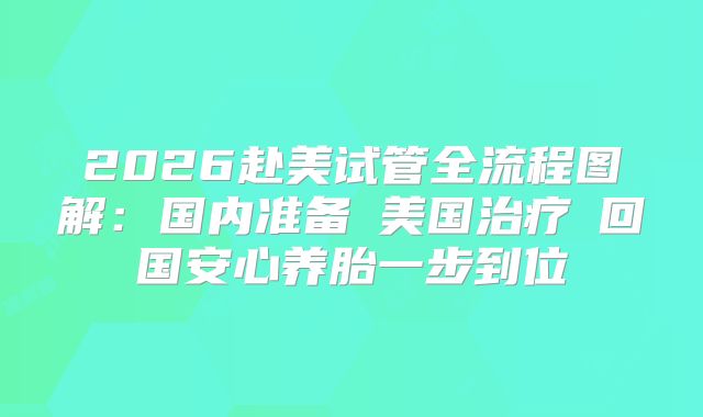 2026赴美试管全流程图解：国内准备→美国治疗→回国安心养胎一步到位