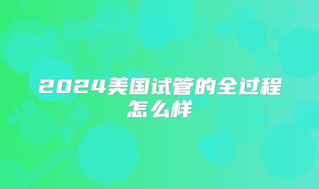 2024美国试管的全过程怎么样