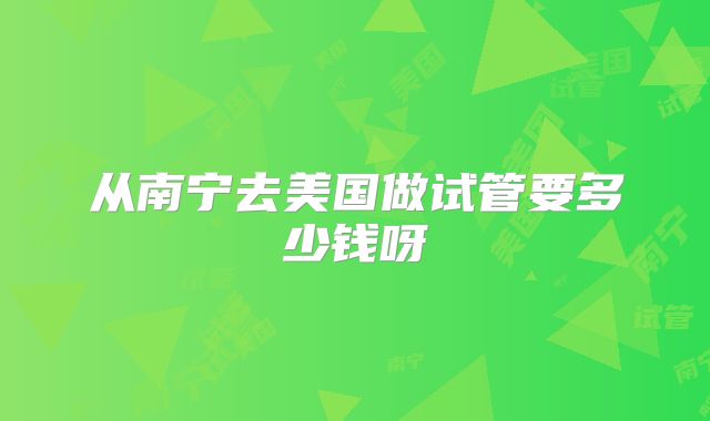 从南宁去美国做试管要多少钱呀