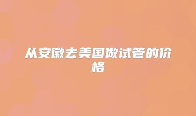 从安徽去美国做试管的价格