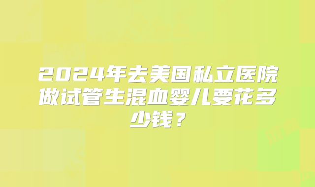 2024年去美国私立医院做试管生混血婴儿要花多少钱？