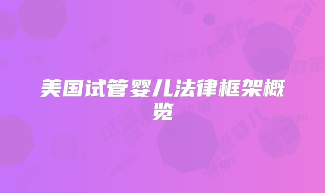 美国试管婴儿法律框架概览