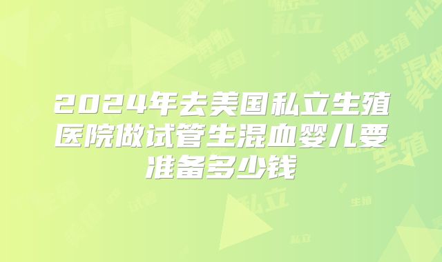 2024年去美国私立生殖医院做试管生混血婴儿要准备多少钱