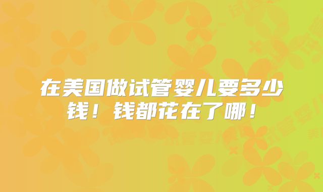 在美国做试管婴儿要多少钱!钱都花在了哪!