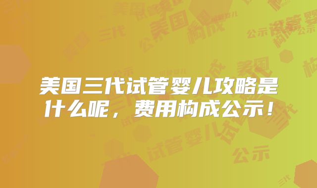 美国三代试管婴儿攻略是什么呢，费用构成公示！