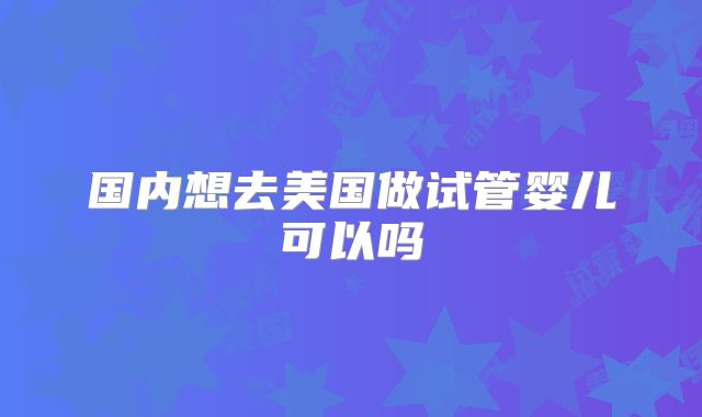 国内想去美国做试管婴儿可以吗