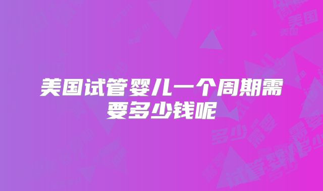 美国试管婴儿一个周期需要多少钱呢