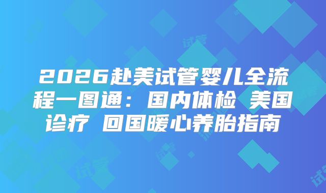2026赴美试管婴儿全流程一图通：国内体检→美国诊疗→回国暖心养胎指南
