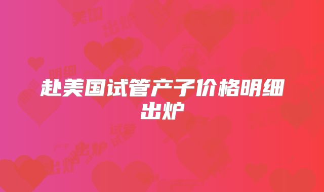 赴美国试管产子价格明细出炉