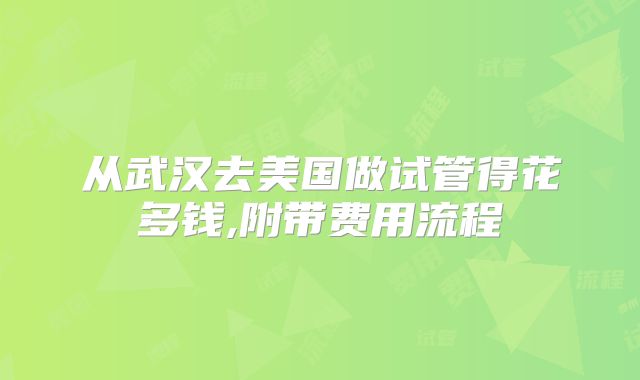 从武汉去美国做试管得花多钱,附带费用流程