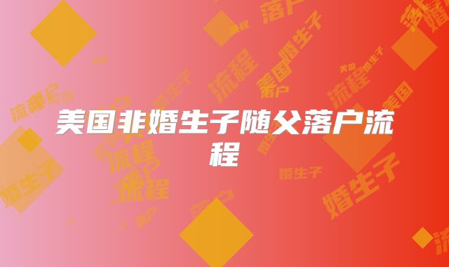 美国非婚生子随父落户流程