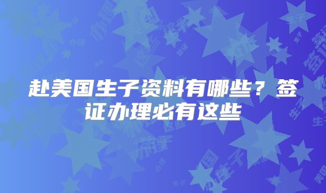 赴美国生子资料有哪些？签证办理必有这些