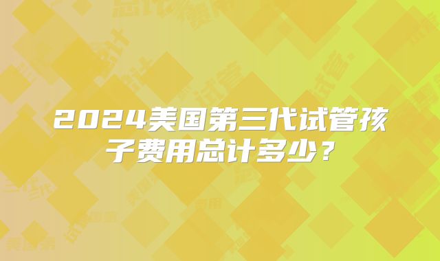 2024美国第三代试管孩子费用总计多少？