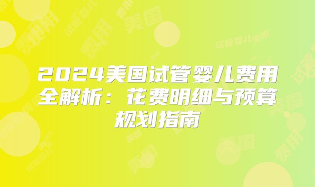 2024美国试管婴儿费用全解析：花费明细与预算规划指南