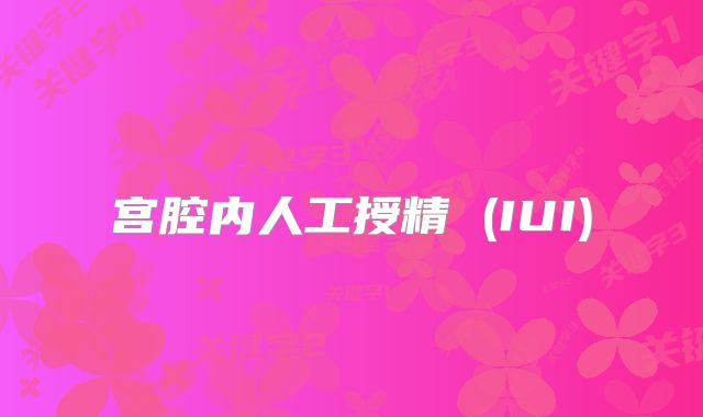 宫腔内人工授精 (IUI)