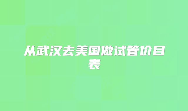 从武汉去美国做试管价目表
