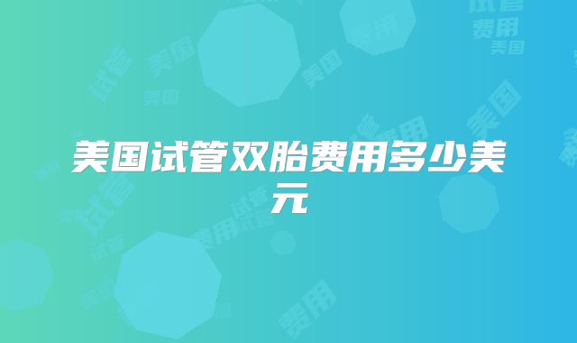 美国试管双胎费用多少美元
