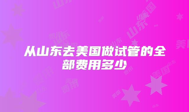 从山东去美国做试管的全部费用多少