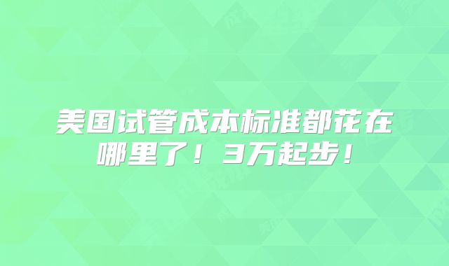 美国试管成本标准都花在哪里了！3万起步！