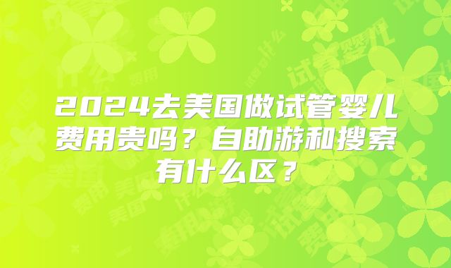 2024去美国做试管婴儿费用贵吗？自助游和搜索有什么区？