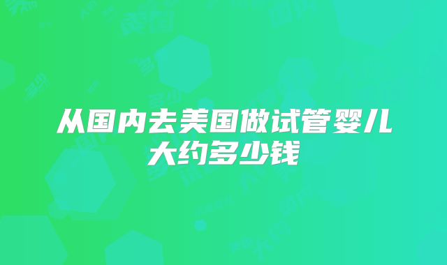 从国内去美国做试管婴儿大约多少钱